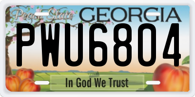 GA license plate PWU6804