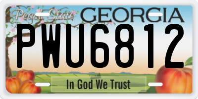 GA license plate PWU6812