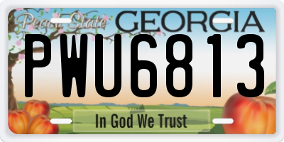 GA license plate PWU6813