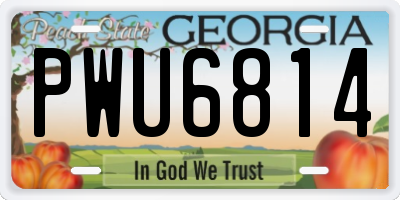 GA license plate PWU6814