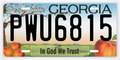 GA license plate PWU6815