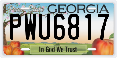 GA license plate PWU6817