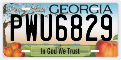 GA license plate PWU6829