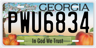 GA license plate PWU6834