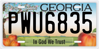 GA license plate PWU6835