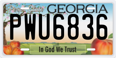GA license plate PWU6836