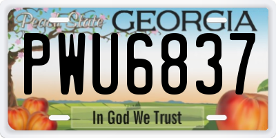 GA license plate PWU6837