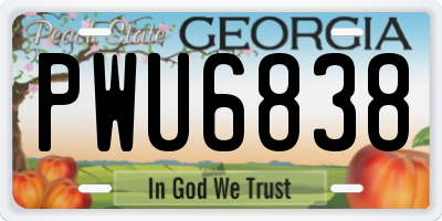 GA license plate PWU6838