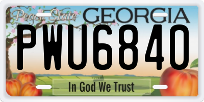 GA license plate PWU6840