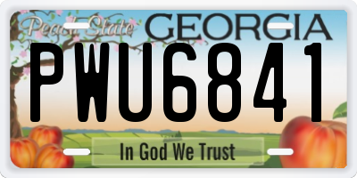 GA license plate PWU6841