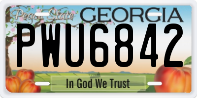 GA license plate PWU6842