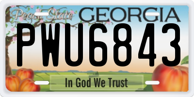 GA license plate PWU6843