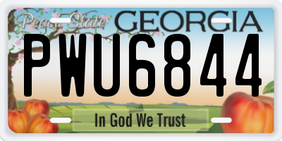 GA license plate PWU6844