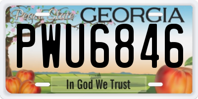 GA license plate PWU6846