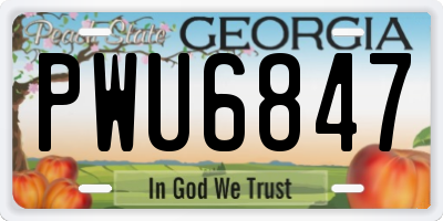 GA license plate PWU6847