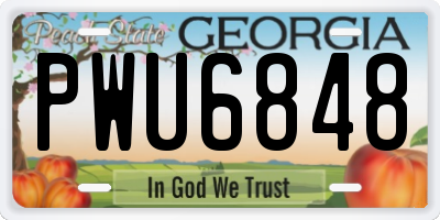 GA license plate PWU6848