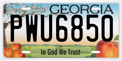 GA license plate PWU6850