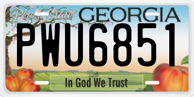 GA license plate PWU6851