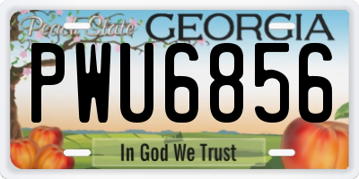 GA license plate PWU6856