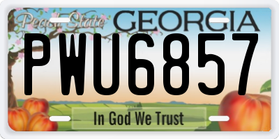 GA license plate PWU6857