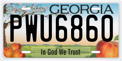 GA license plate PWU6860