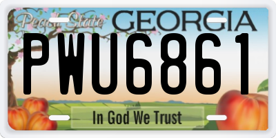 GA license plate PWU6861