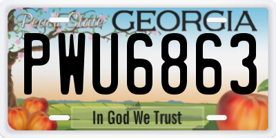 GA license plate PWU6863