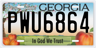 GA license plate PWU6864