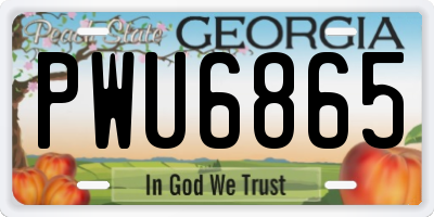 GA license plate PWU6865
