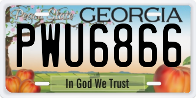 GA license plate PWU6866