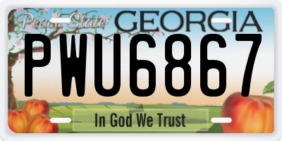 GA license plate PWU6867
