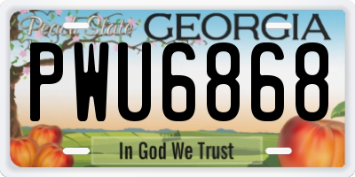 GA license plate PWU6868
