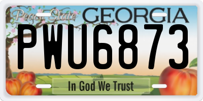 GA license plate PWU6873