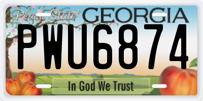GA license plate PWU6874