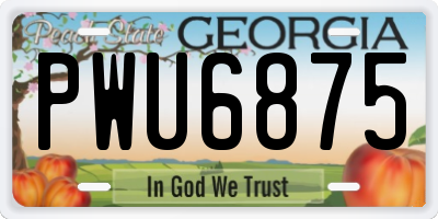 GA license plate PWU6875