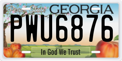 GA license plate PWU6876