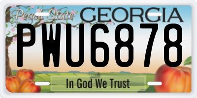 GA license plate PWU6878