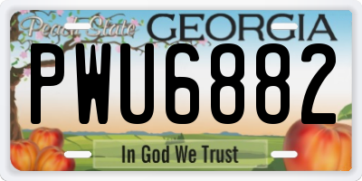 GA license plate PWU6882