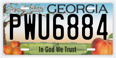 GA license plate PWU6884