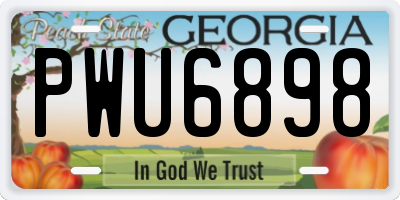GA license plate PWU6898