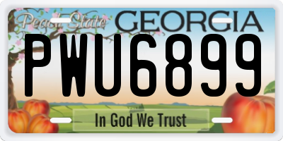 GA license plate PWU6899