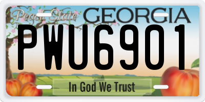 GA license plate PWU6901