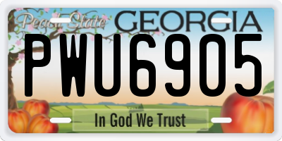 GA license plate PWU6905