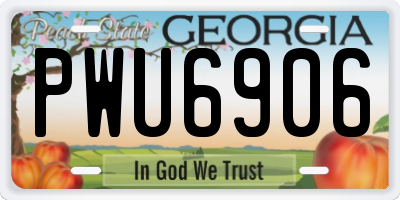 GA license plate PWU6906