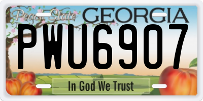 GA license plate PWU6907