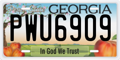 GA license plate PWU6909