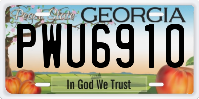 GA license plate PWU6910
