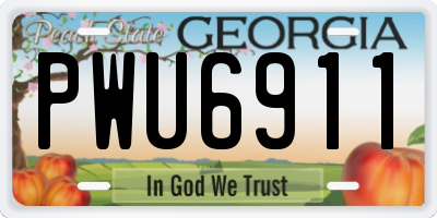 GA license plate PWU6911
