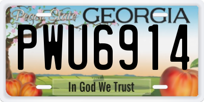 GA license plate PWU6914