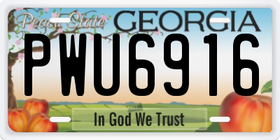 GA license plate PWU6916